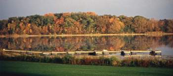 Bay Meadows Park